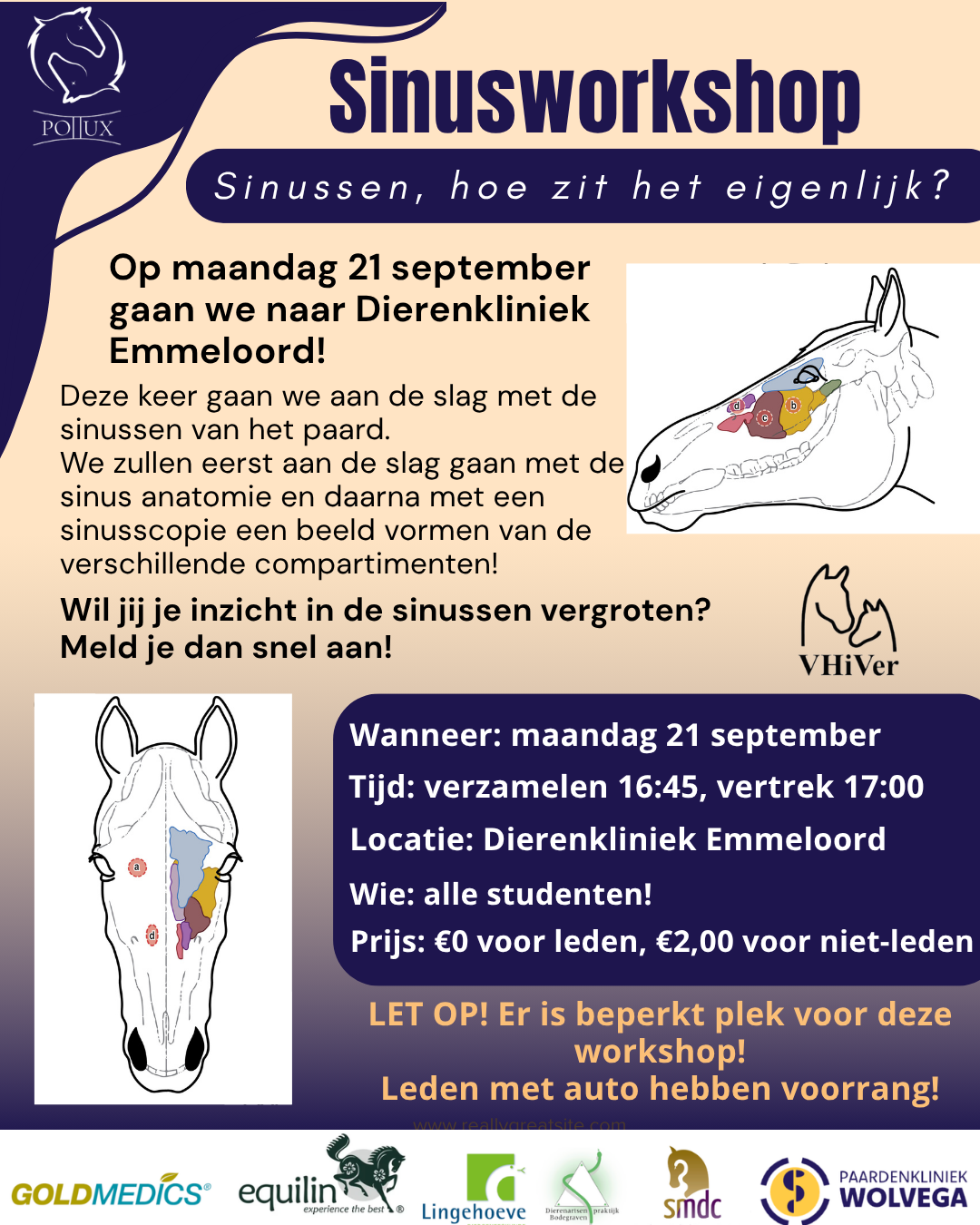 sinusworkshop nieuw